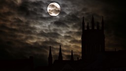 imagen panoramica itam